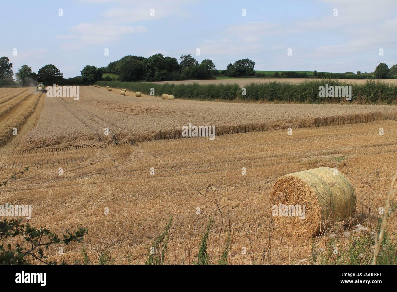 Feld, das am Sommertag in West Yorkshire, Großbritannien, von einem Mähdrescher mit unscharfer Luft und Wolken geerntet wird Stockfoto