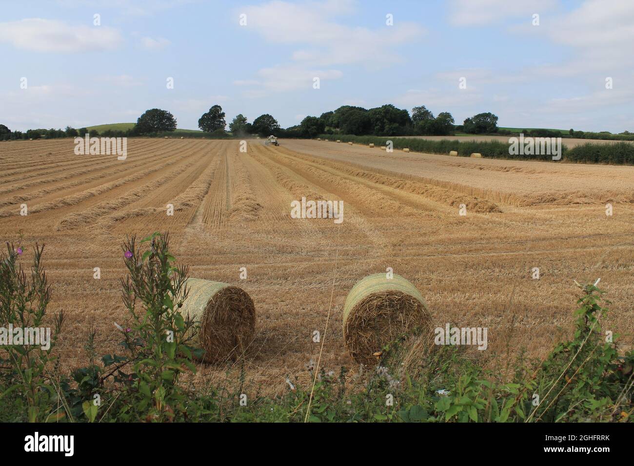 Feld, das am Sommertag in West Yorkshire, Großbritannien, von einem Mähdrescher mit unscharfer Luft und Wolken geerntet wird Stockfoto