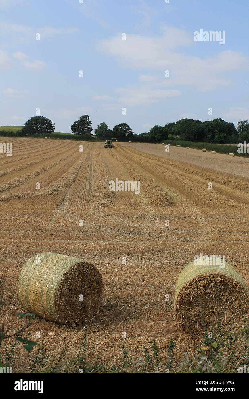 Mähdrescher auf einem Feld an einem heißen Sommertag im Juli auf einem Feld in West Yorkshire UK Stockfoto