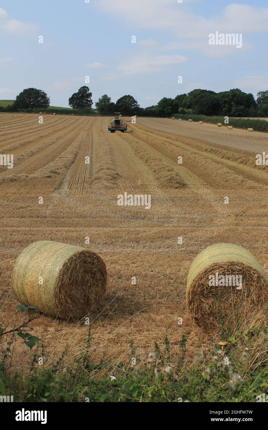 Mähdrescher auf einem Feld an einem heißen Sommertag im Juli auf einem Feld in West Yorkshire UK Stockfoto