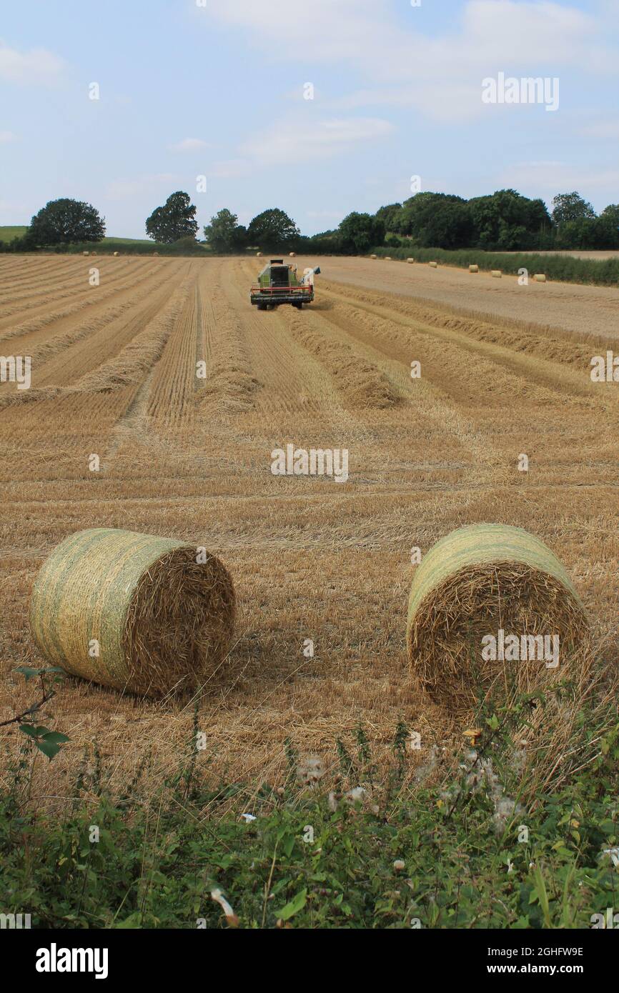 Mähdrescher auf einem Feld an einem heißen Sommertag im Juli auf einem Feld in West Yorkshire UK Stockfoto