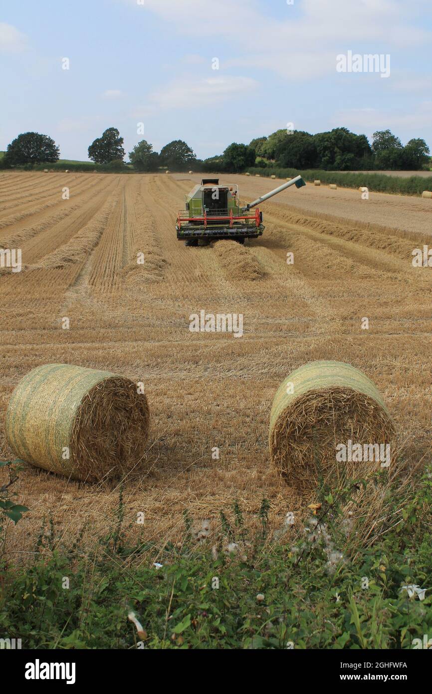 Mähdrescher auf einem Feld an einem heißen Sommertag im Juli auf einem Feld in West Yorkshire UK Stockfoto