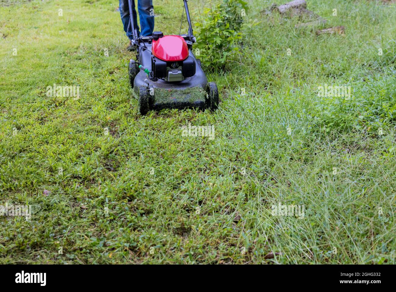 Hausangestellter im Rasenmäher-Gärtner schneidet das Gras-Aufsitzer Rasenmäher Stockfoto