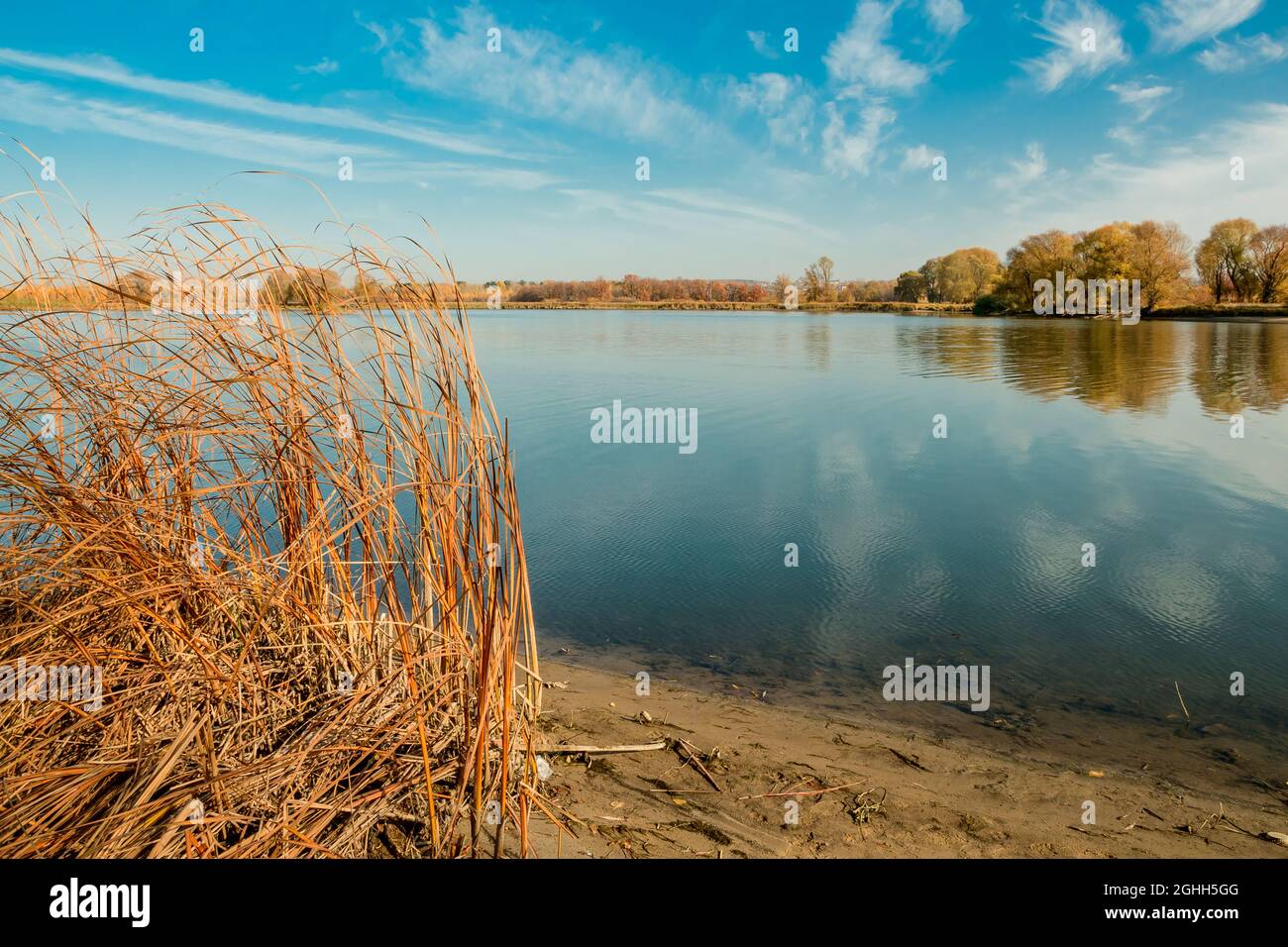 Herbstbäume, Schilf am Flussufer an einem sonnigen Tag. Weiße Wolken spiegeln sich im Wasser. Stockfoto