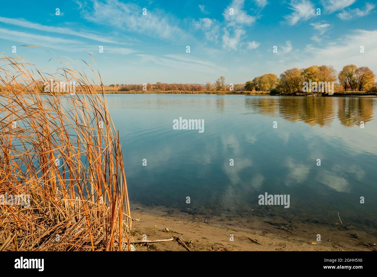 Herbstbäume, Schilf am Flussufer an einem sonnigen Tag. Weiße Wolken spiegeln sich im Wasser. Stockfoto