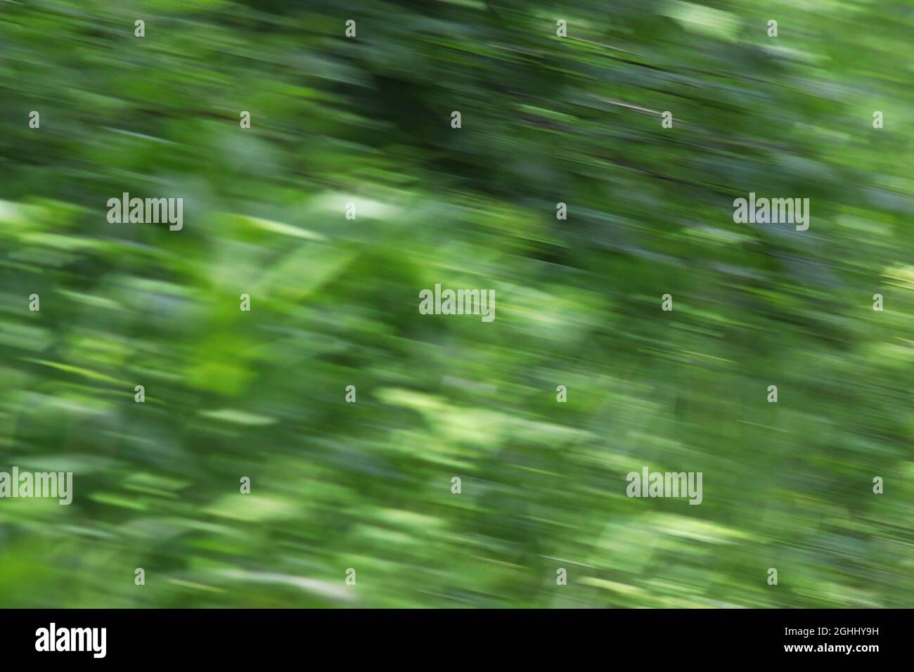Ein abstrakter Hintergrund aus verschiedenen Grüntönen Stockfoto