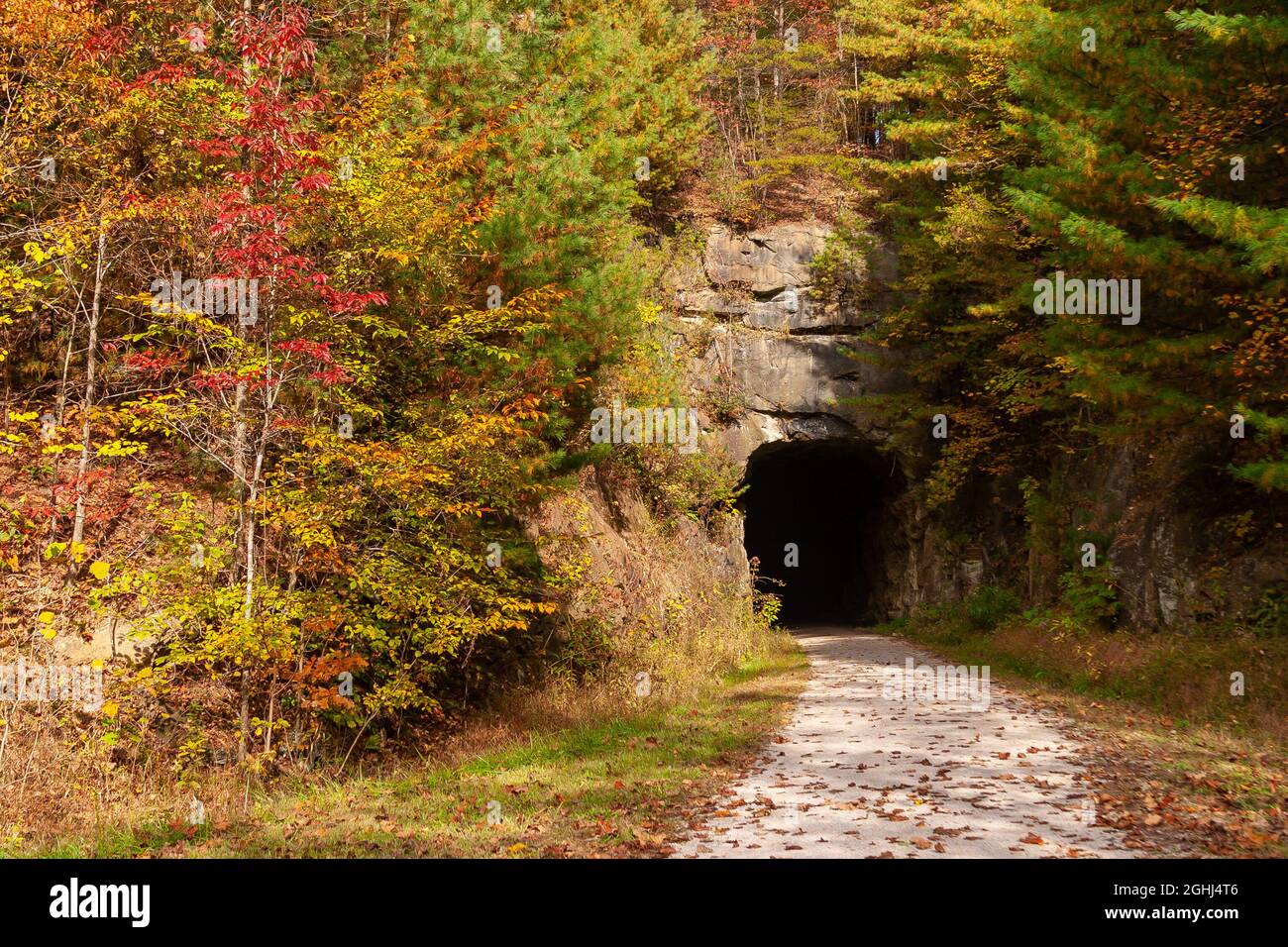 Ein ehemaliger Eisenbahntunnel auf einem Waldweg. Stockfoto