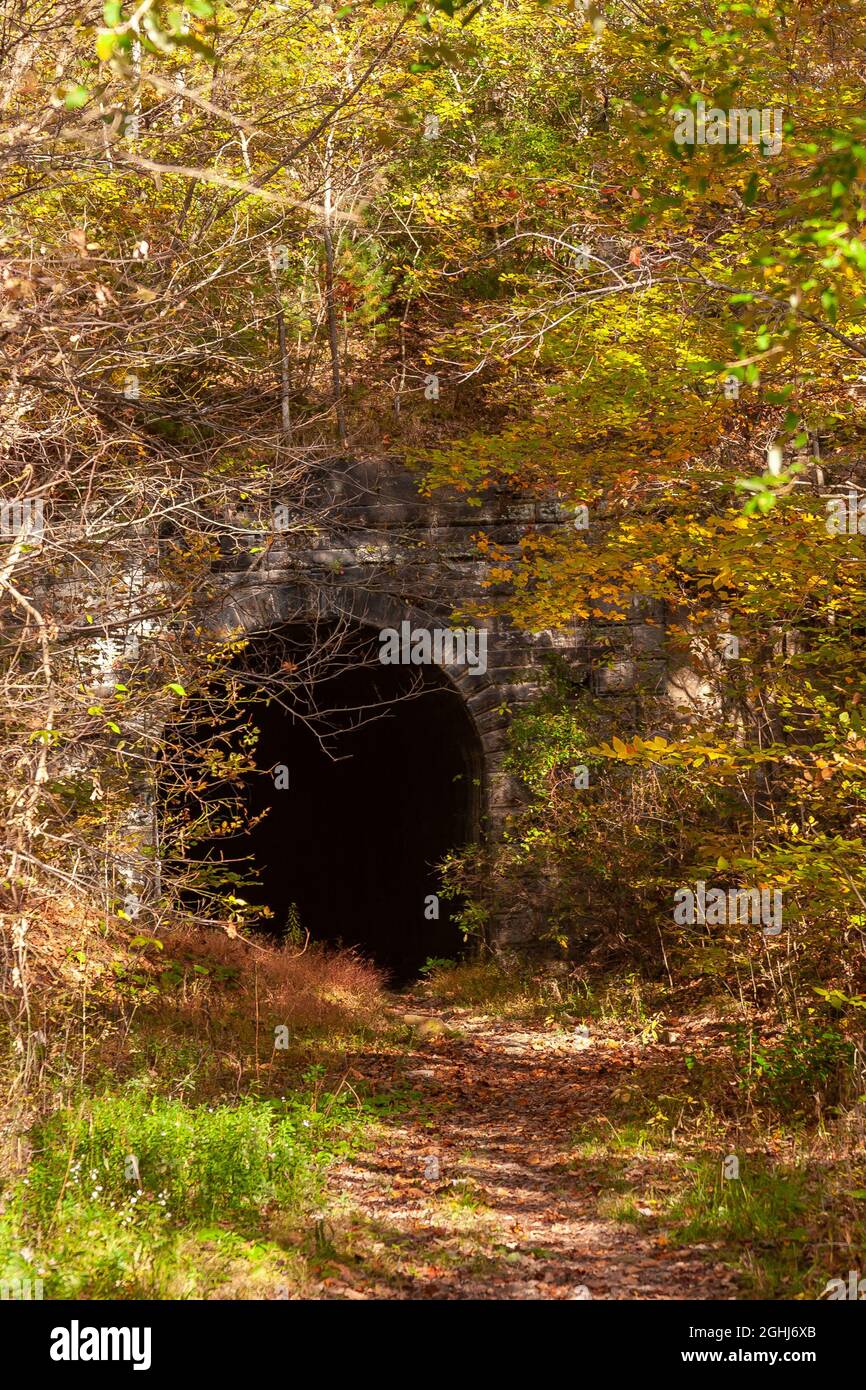 Ein ehemaliger Eisenbahntunnel auf einem Waldweg. Stockfoto