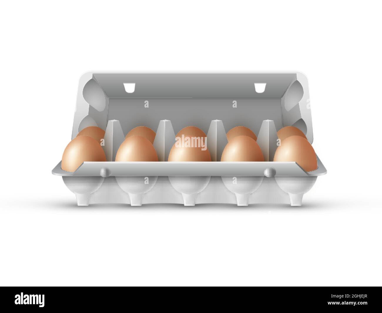 Offene Eierschachtel gefüllt mit braunen Eiern auf weißem Hintergrund, zehn Eier werden in einem grauen Karton aufbewahrt Stock Vektor