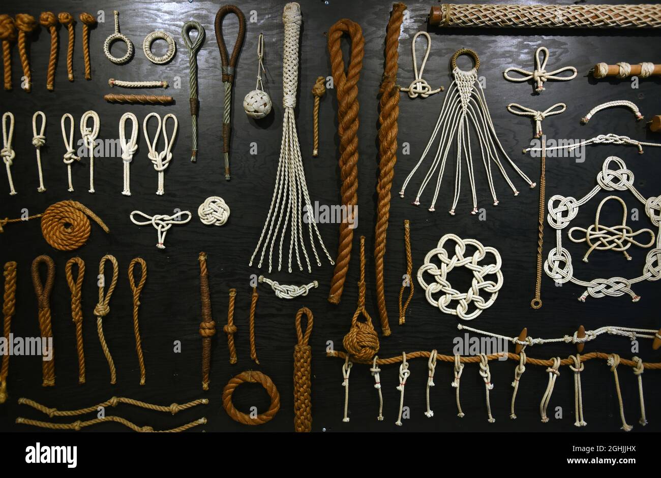 Eine Vielzahl von Beispielen von Arten von Knoten im Seil sind auf einem Knotenbrett im Maritime Museum of British Columbia in Victoira, BC, Kanada, ausgestellt Stockfoto