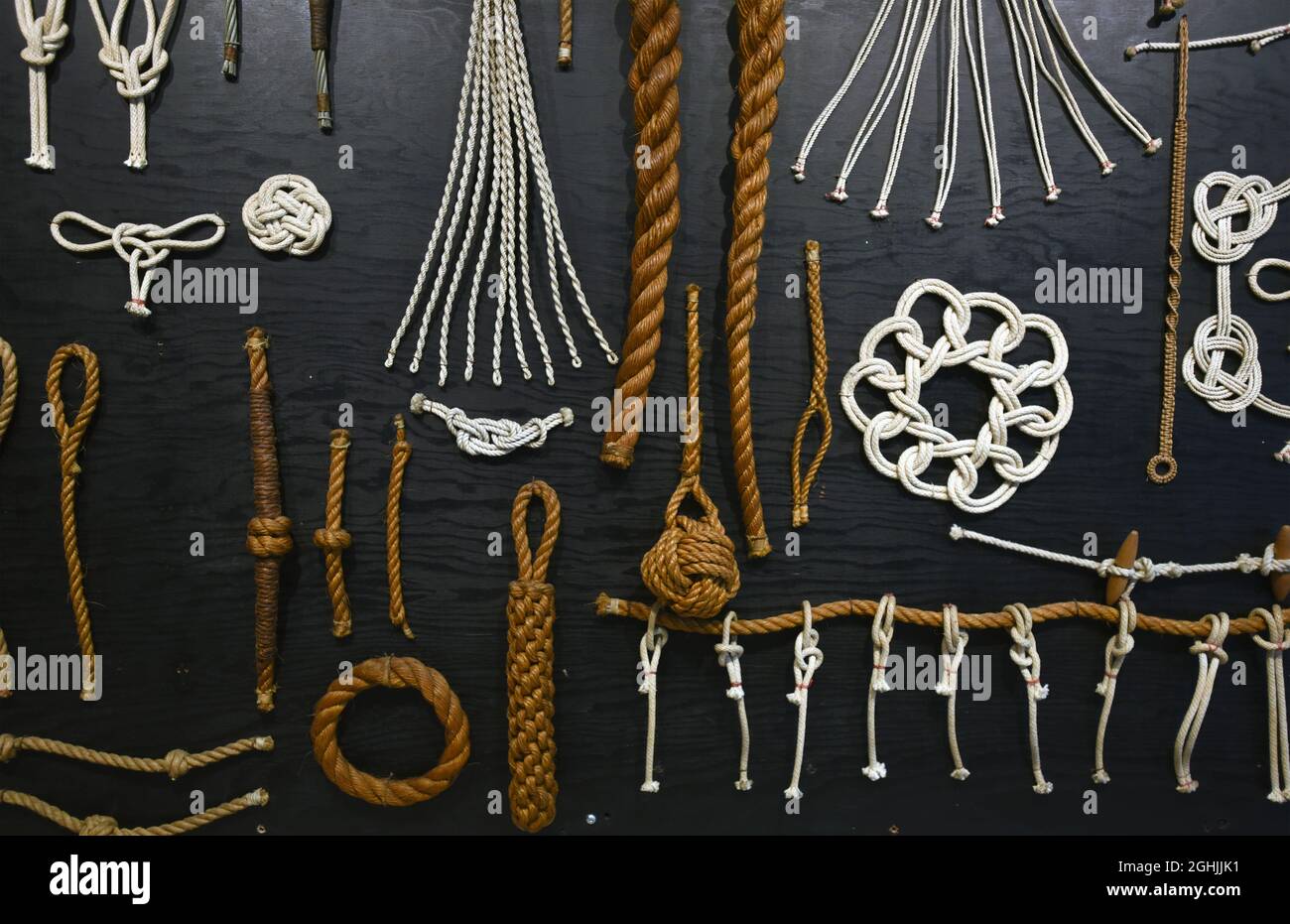Eine Vielzahl von Beispielen von Arten von Knoten im Seil sind auf einem Knotenbrett im Maritime Museum of British Columbia in Victoira, BC, Kanada, ausgestellt Stockfoto