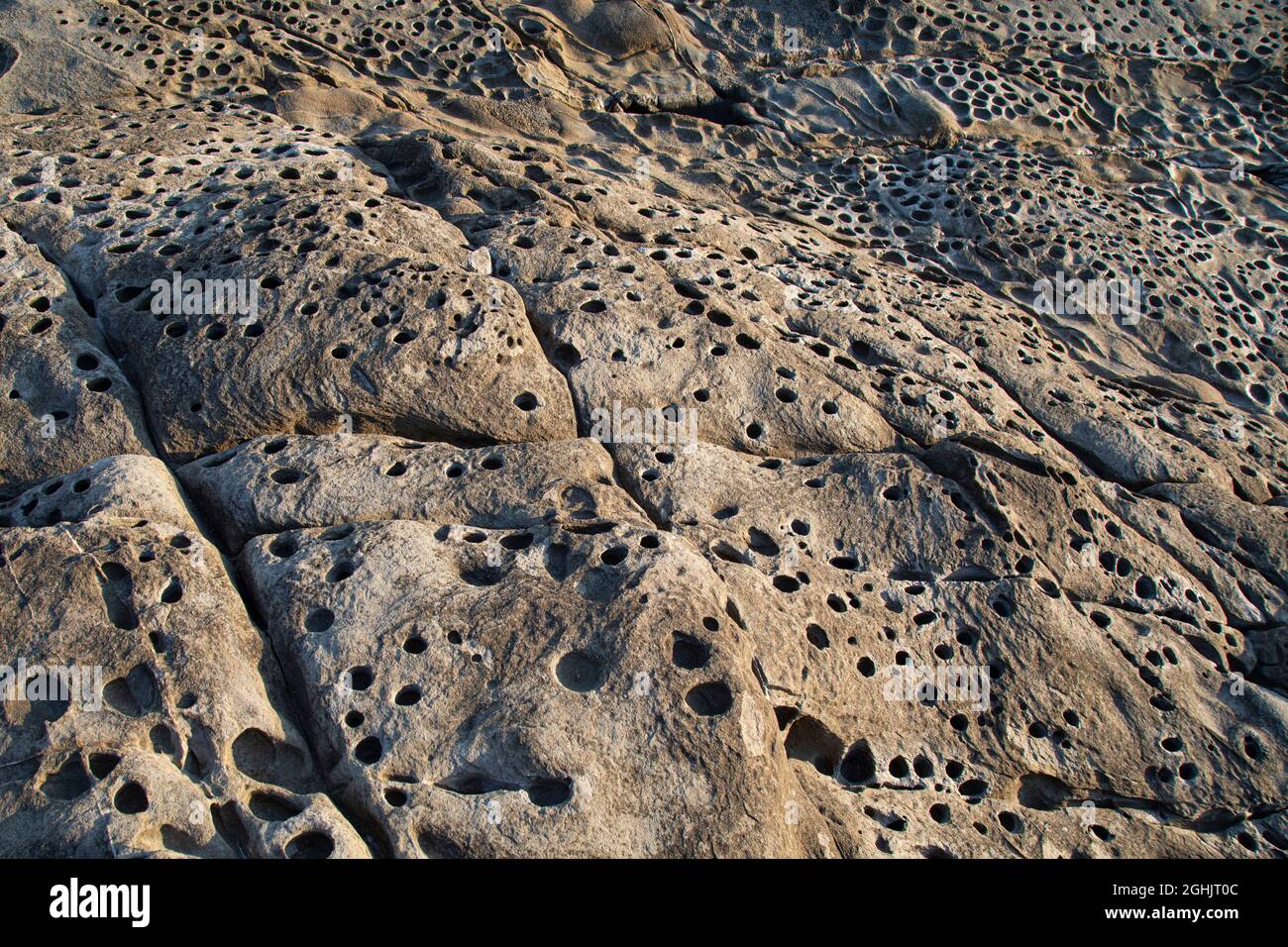 Struktur des Kalksteinfelsen in der Nähe des Meeres, Livorno Klippe Stockfoto