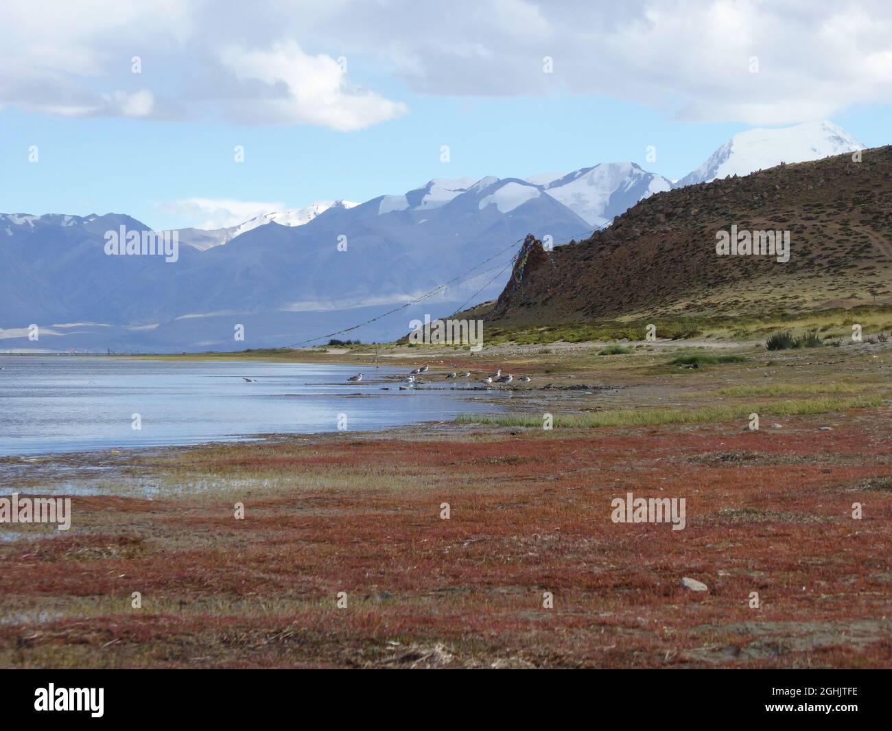 Blick auf die Gangdise- oder Kailas Transhimalaya-Berge vom Manasarovar-See, Kreis Burang, Präfektur Ngari, Autonome Region Tibets Stockfoto