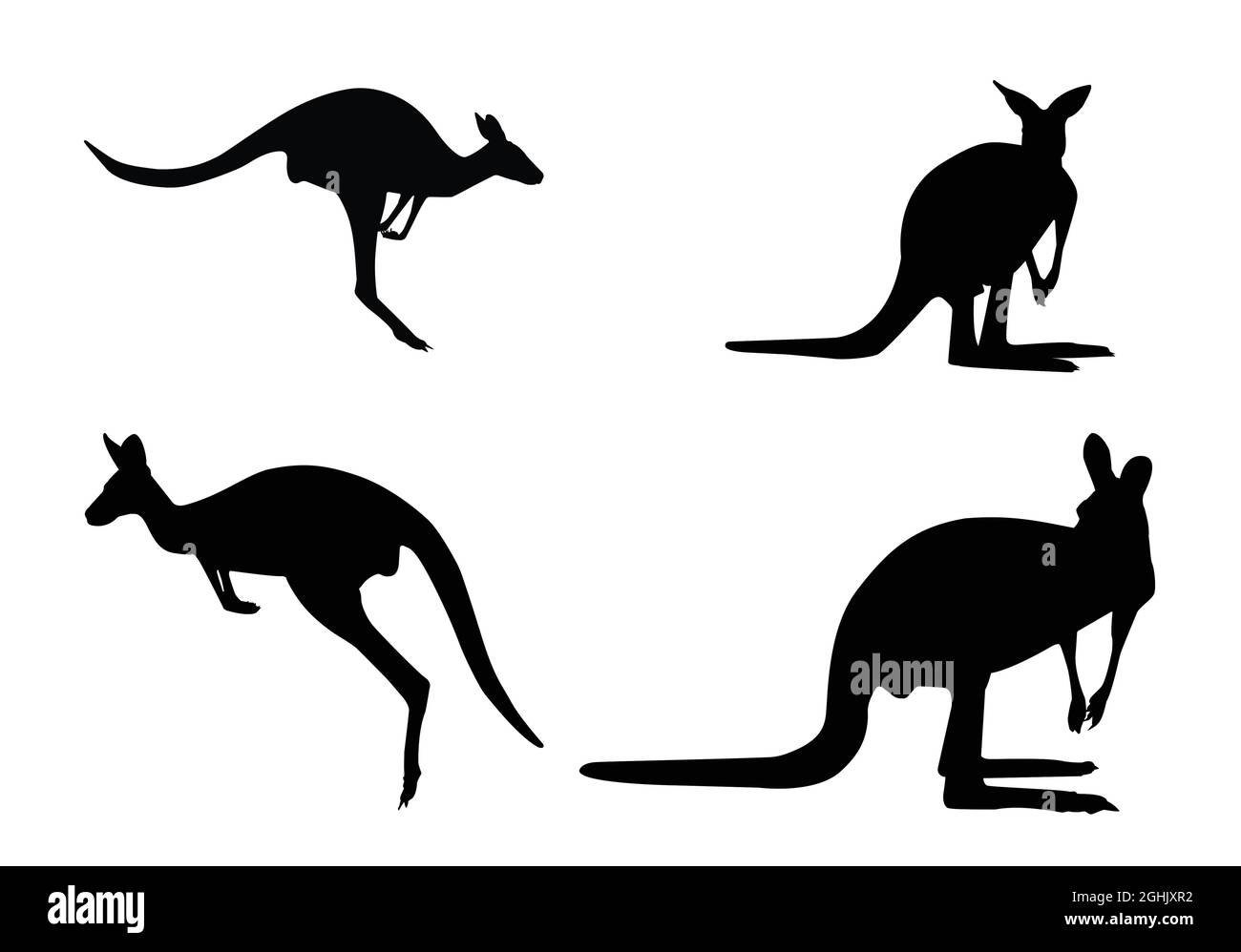 Kängurus schwarze Silhouetten auf weißem Hintergrund Vektor Formen Australien. Stock Vektor