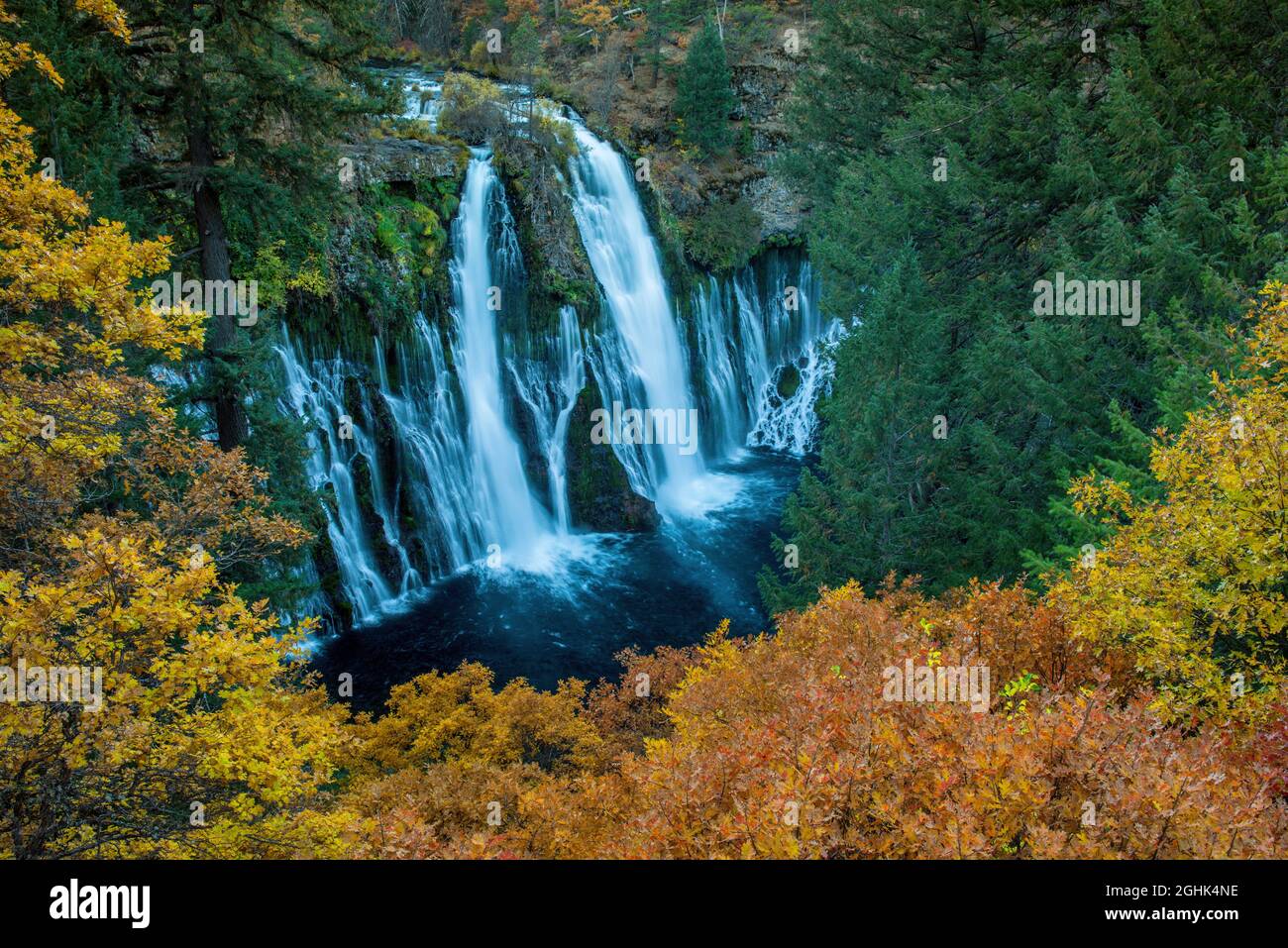 Wasserfälle, California Black Oak, Burney Falls Memorial State Park, Shasta-Trinity National Forest, Shasta County, Kalifornien Stockfoto