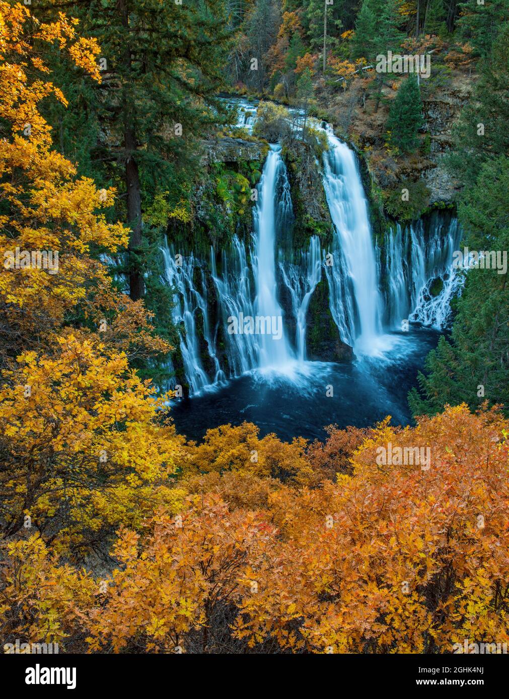 Wasserfälle, California Black Oak, Burney Falls Memorial State Park, Shasta-Trinity National Forest, Shasta County, Kalifornien Stockfoto