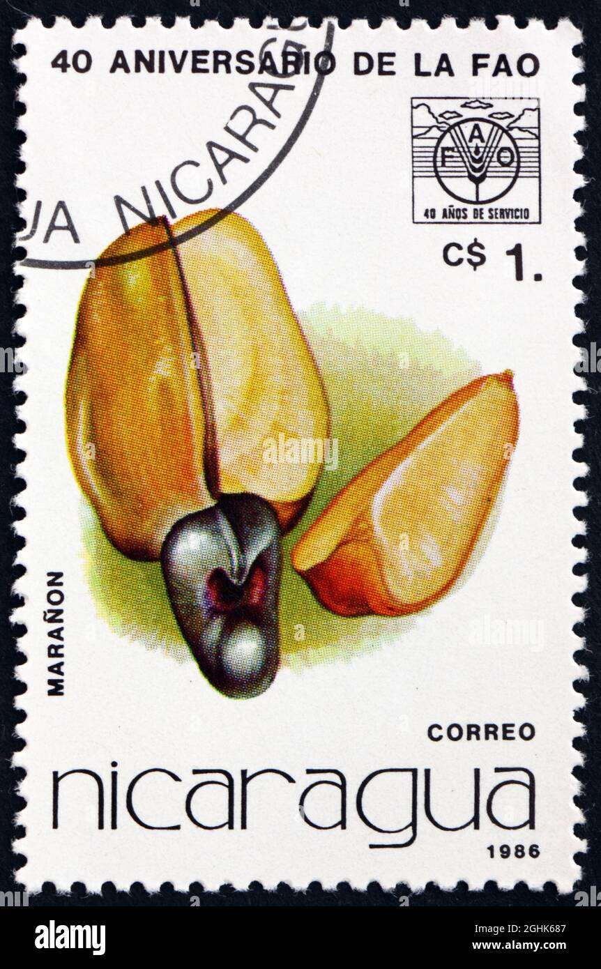 NICARAGUA - UM 1986: Eine in Nicaragua gedruckte Marke zeigt Cashewnuss, Früchte, um 1986 Stockfoto