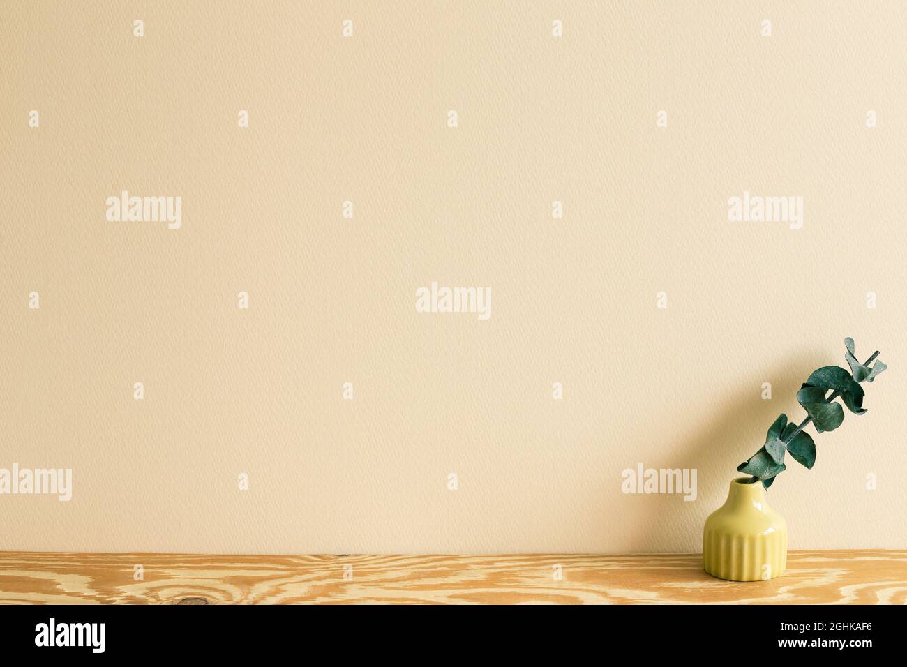 Vase aus Eukalyptusblatt auf Holztisch. Beige Wand Hintergrund. Home Interieur Stockfoto