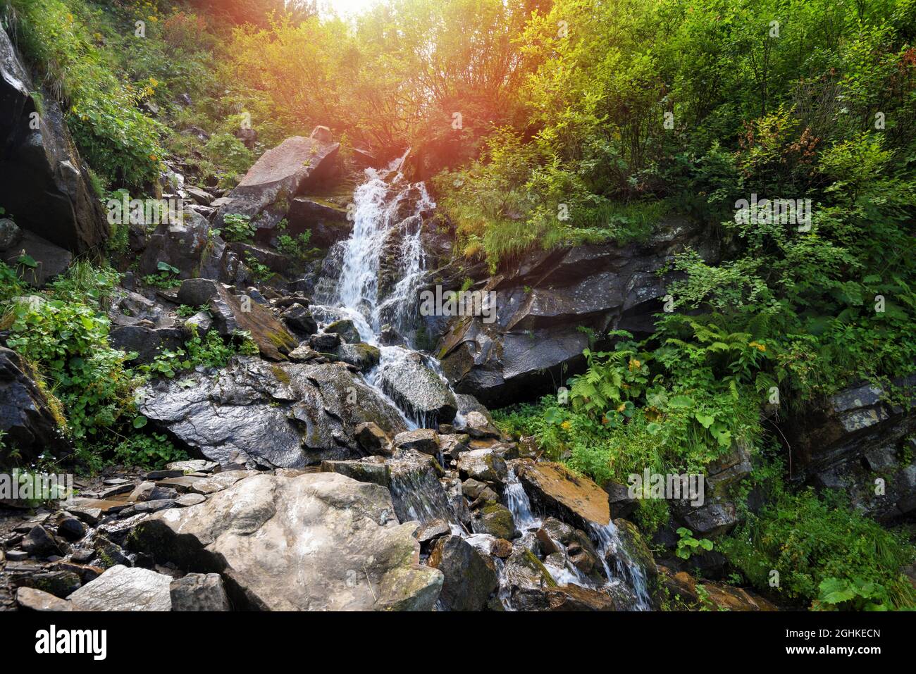 Bergwasserfall. Wasser fließt über Felsen. Schnell strömend Wasser. Sommerlandschaft Stockfoto