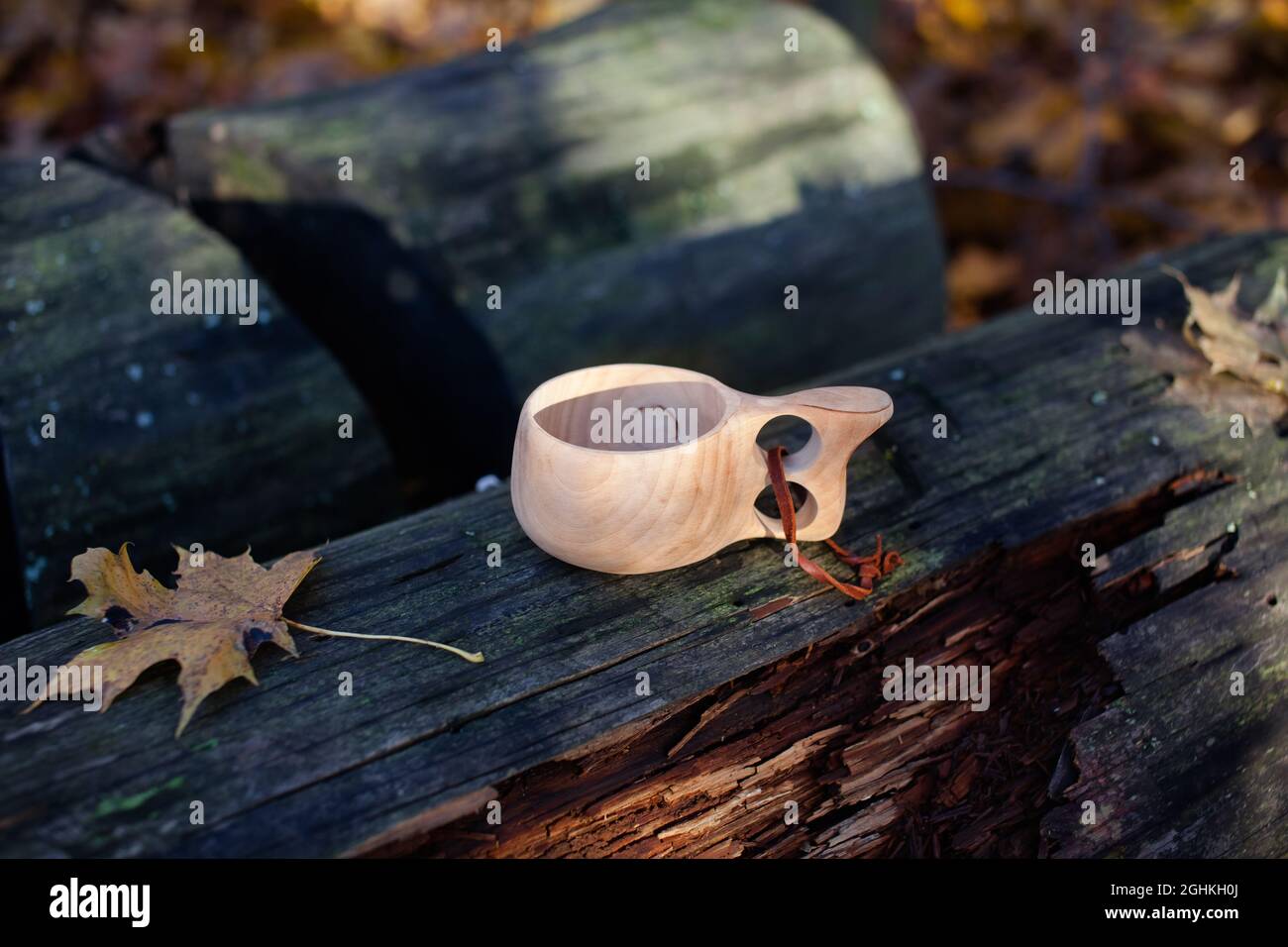 Nahaufnahme eines leeren Holzbechers in einem Wald im Herbst, mit heruntergefallenen Blättern im Hintergrund. Stockfoto