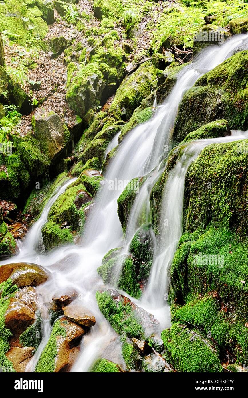 Malerischer Wasserfall auf einem kleinen Gebirgsfluss mit moosigen Steinen und Felsen Stockfoto