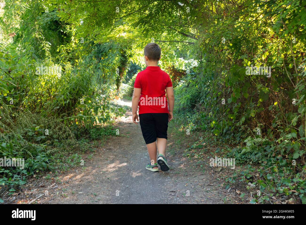 Rückansicht eines Jungen, der im Wald spazieren geht Stockfoto