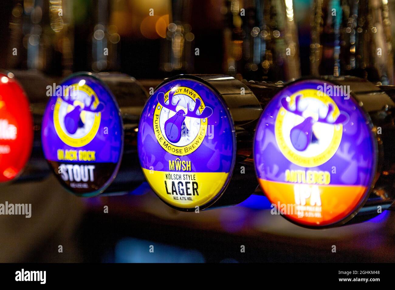 Purple Moose Brewery Bier vom Fass im Austraila Pub, Porthmadog, Snowdonia, Wales, Großbritannien Stockfoto