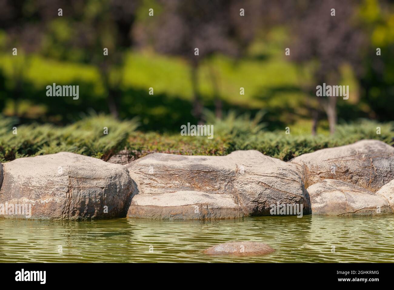 Details von Felsen am Zierbecken in einem Park. Unscharfe Bäume im Hintergrund. Stockfoto