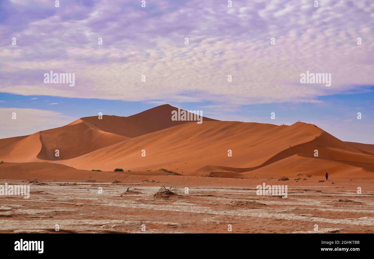 Die rote Wüste, tote Bäume und Touristen, die in den Sanddünen wandern. Sossusvlei ist eine Salz- und Tonpfanne, umgeben von hohen roten Dünen, Namib-Naukluft Nati Stockfoto