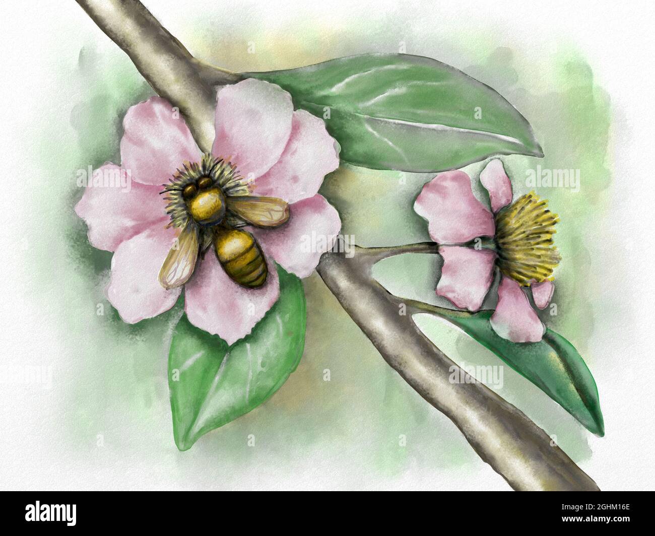 Blütenzusammensetzung mit einer Biene. Original-Aquarell. Stockfoto