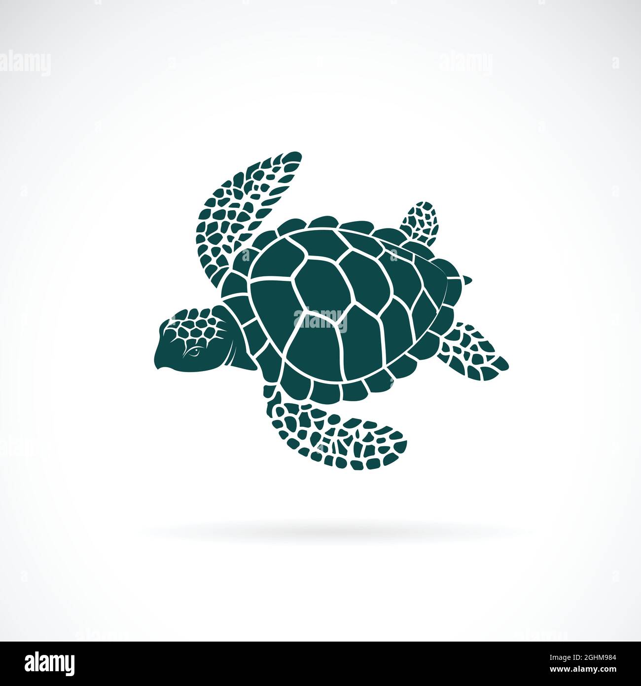 Vektor von Schildkröte-Design auf weißem Hintergrund. Wilde Tiere. Unterwasser-Tier. Schildkröten-Symbol oder -Logo. Leicht editierbare Vektorgrafik mit Ebenen. Stock Vektor