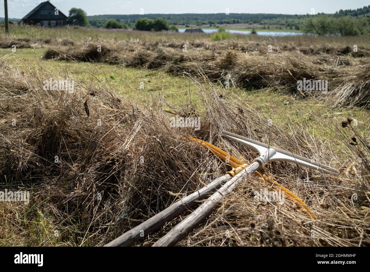 Getrocknete Grasschnitte und Rechen zum Heusammeln, in der schönen Landschaft. Ländlicher Lebensstil. Stockfoto