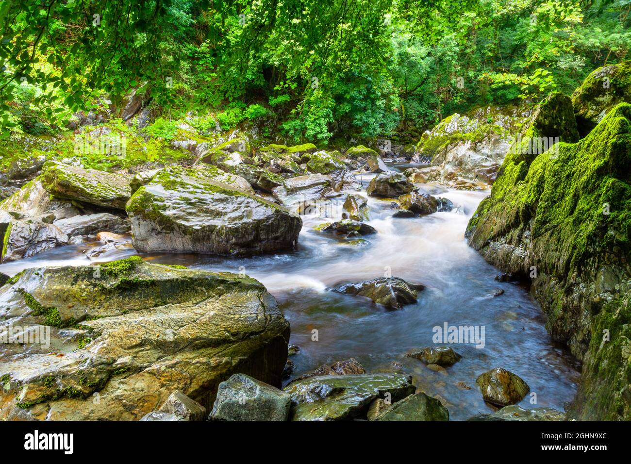 River Conwy in der Nähe des Rhaeadr Y Graig Lwyd Wasserfalls, Betws Y Coed, Snowdonia, Wales, Großbritannien Stockfoto