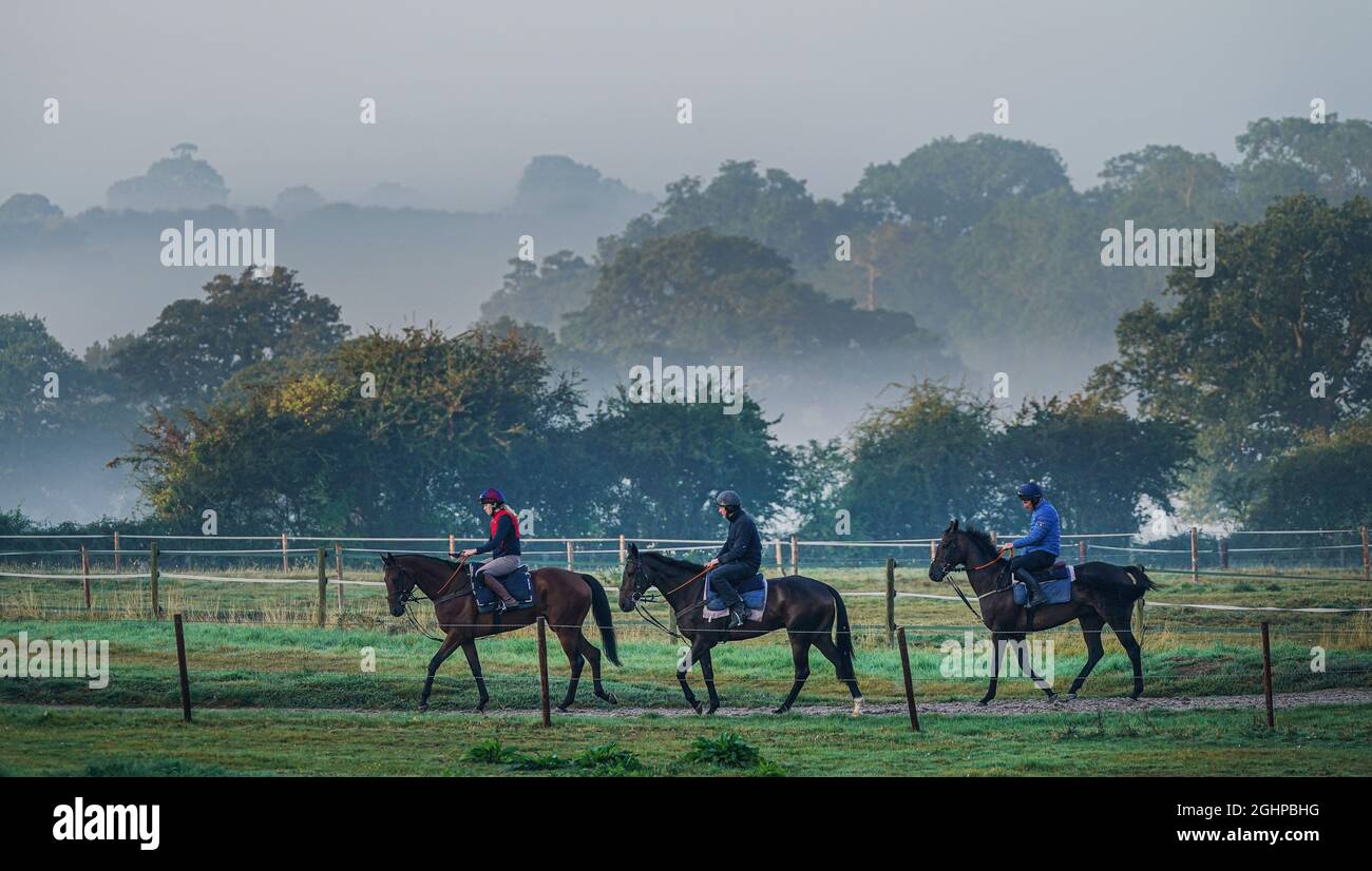 Pferde aus den Granary Stables von Sam Drinkwater ziehen sich heraus, während der Nebel in Worcestershire aufsteigt. Es wird erwartet, dass die Temperaturen in Teilen Großbritanniens am Dienstag bis zu 30 Grad Celsius erreichen werden, da das Land einen warmen Start in den September genießt. Bilddatum: Dienstag, 7. September 2021. Stockfoto