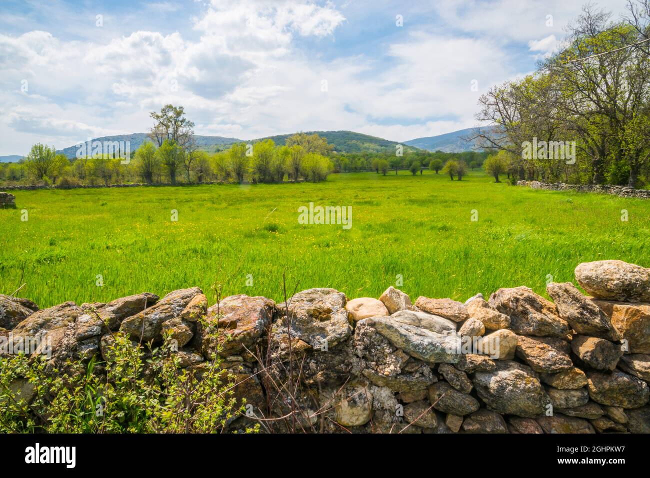 Landschaft. Pinilla de Buitrago, Provinz Madrid, Spanien. Stockfoto