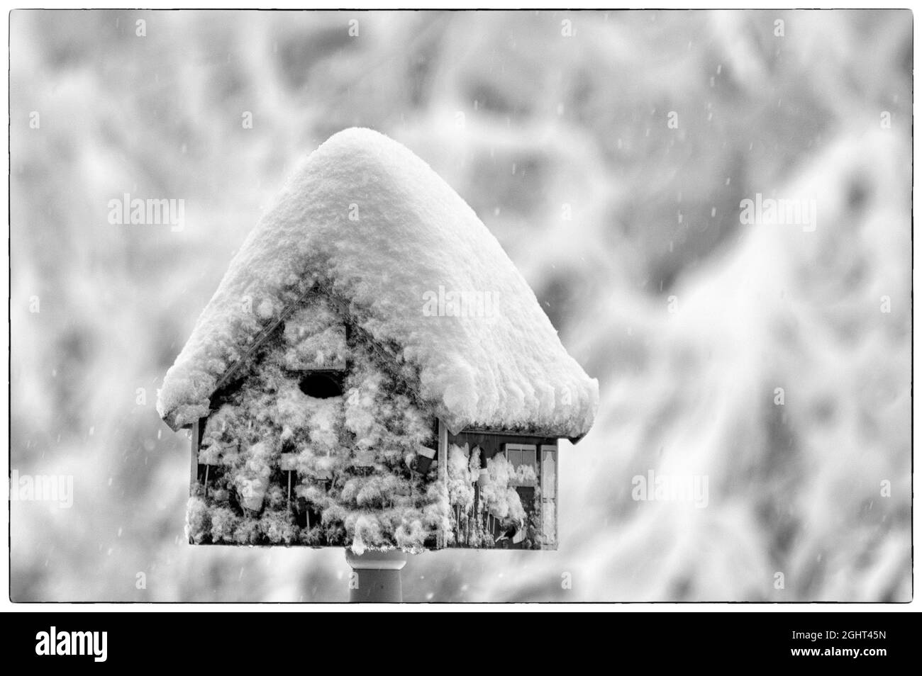 Schnee und Eis sind in Schwarz und Weiß sehr attraktiv. Stockfoto