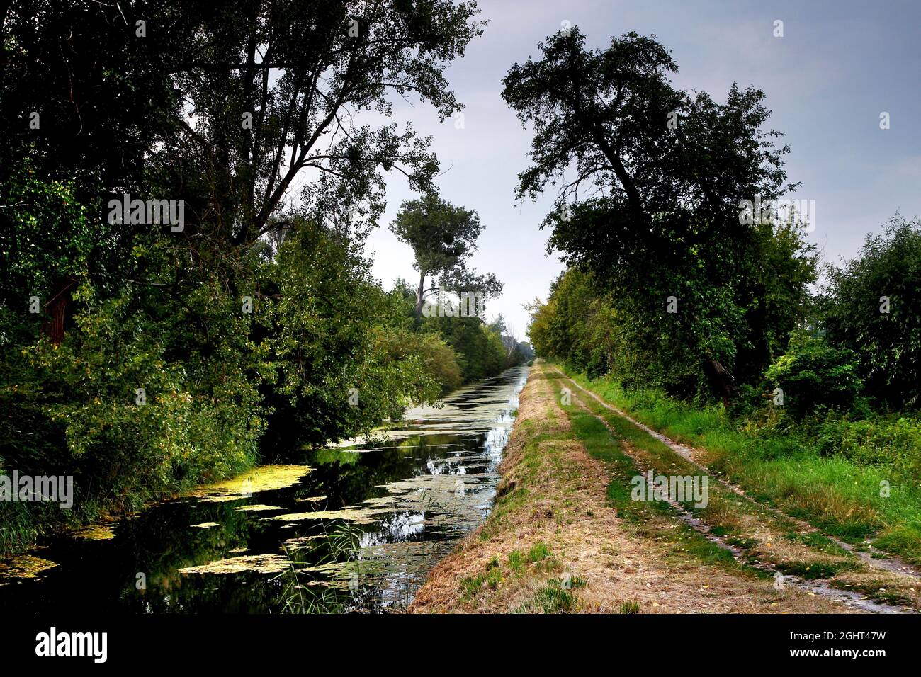 Blick von der Ohre-Brücke, Grasland im Droemling, Feldweg neben Ohre, Tieflandmoor, Tiefland, Biosphärenreservat, Naturschutzgebiet Stockfoto