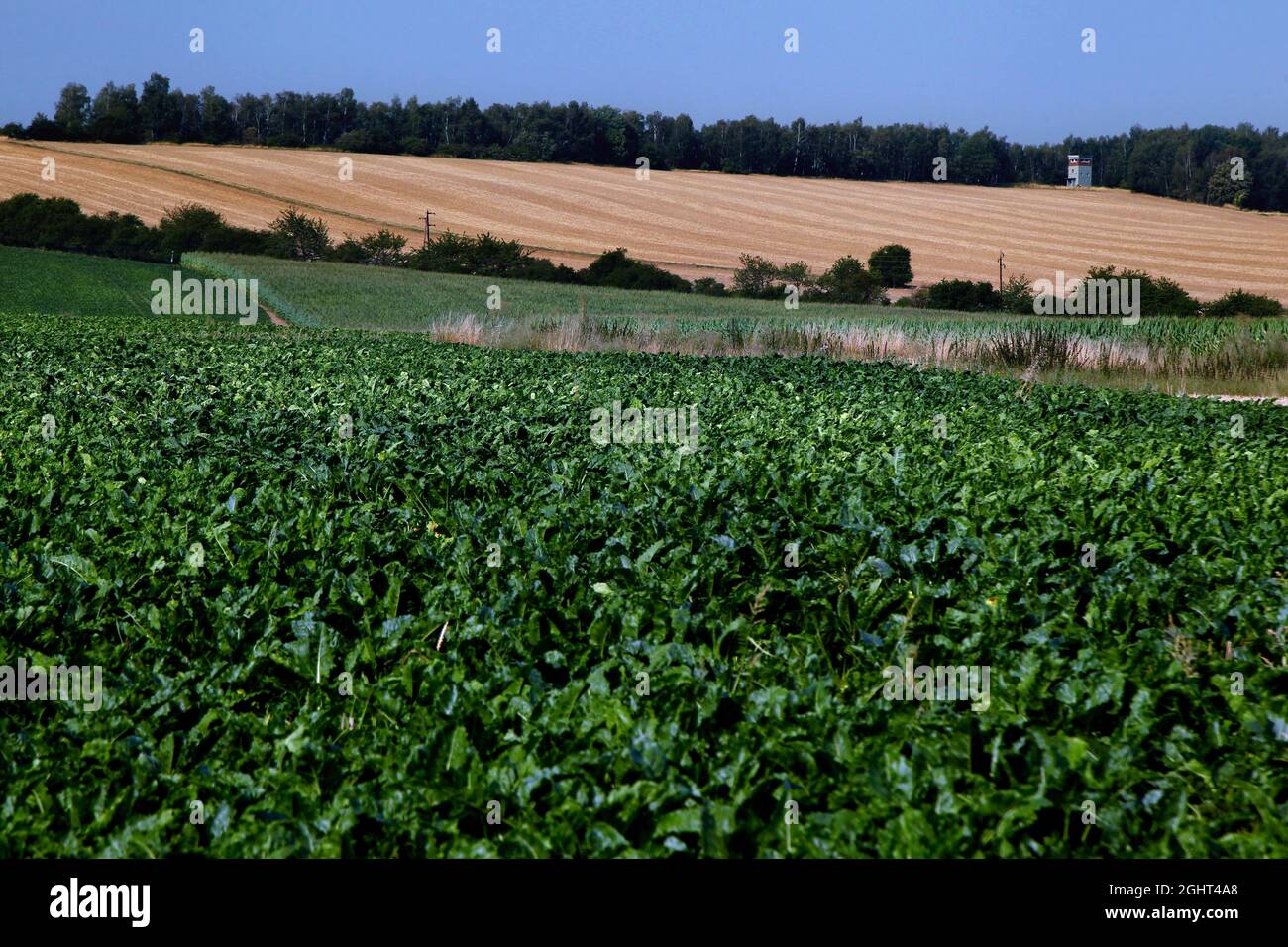 Beobachtungsturm der DDR-Grenztruppen, Grenzwachturm umgeben von Feldern an der ehemaligen innerdeutschen Grenze, Kolonnenweg, Lochplattenweg im Stockfoto