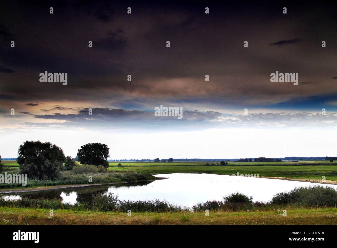 Wrechower Aue, Naturschutzgebiet Aland-Elbe-Niederung, UNESCO-Biosphärenreservat Flusslandschaft Elbe, Kolonnenweg, Lochplattenweg, innerdeutsche Grenze Stockfoto