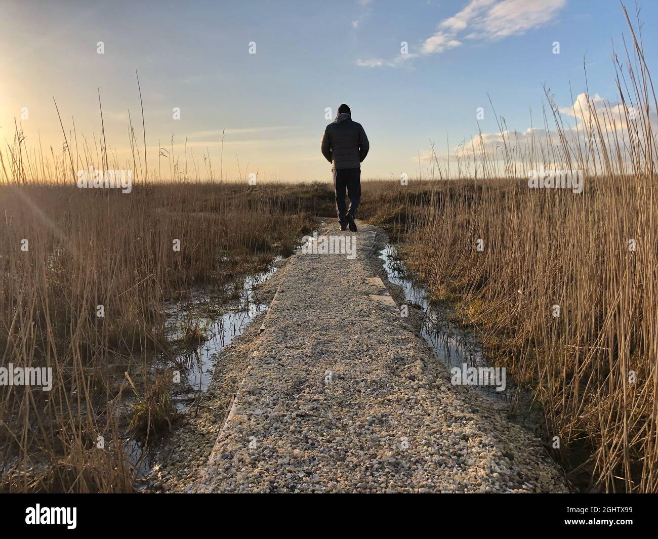 Rückansicht eines Mannes, der auf einem Fußweg zum Strand geht, Fanoe Bad, Fanoe, Jütland, Dänemark Stockfoto
