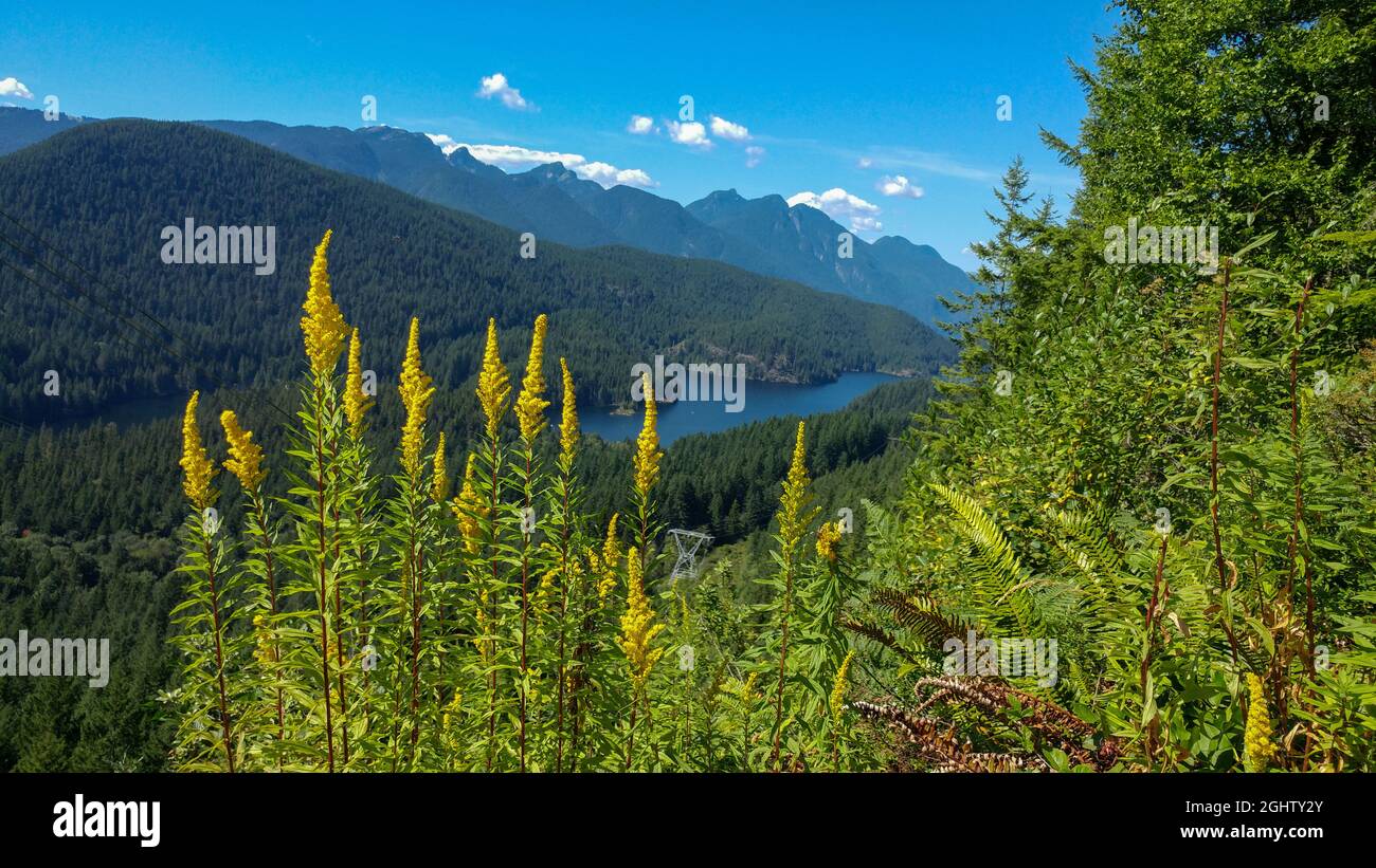 Buntzen Lake Blick von Eagle Bluffs, Anmore, British Columbia, Kanada Stockfoto