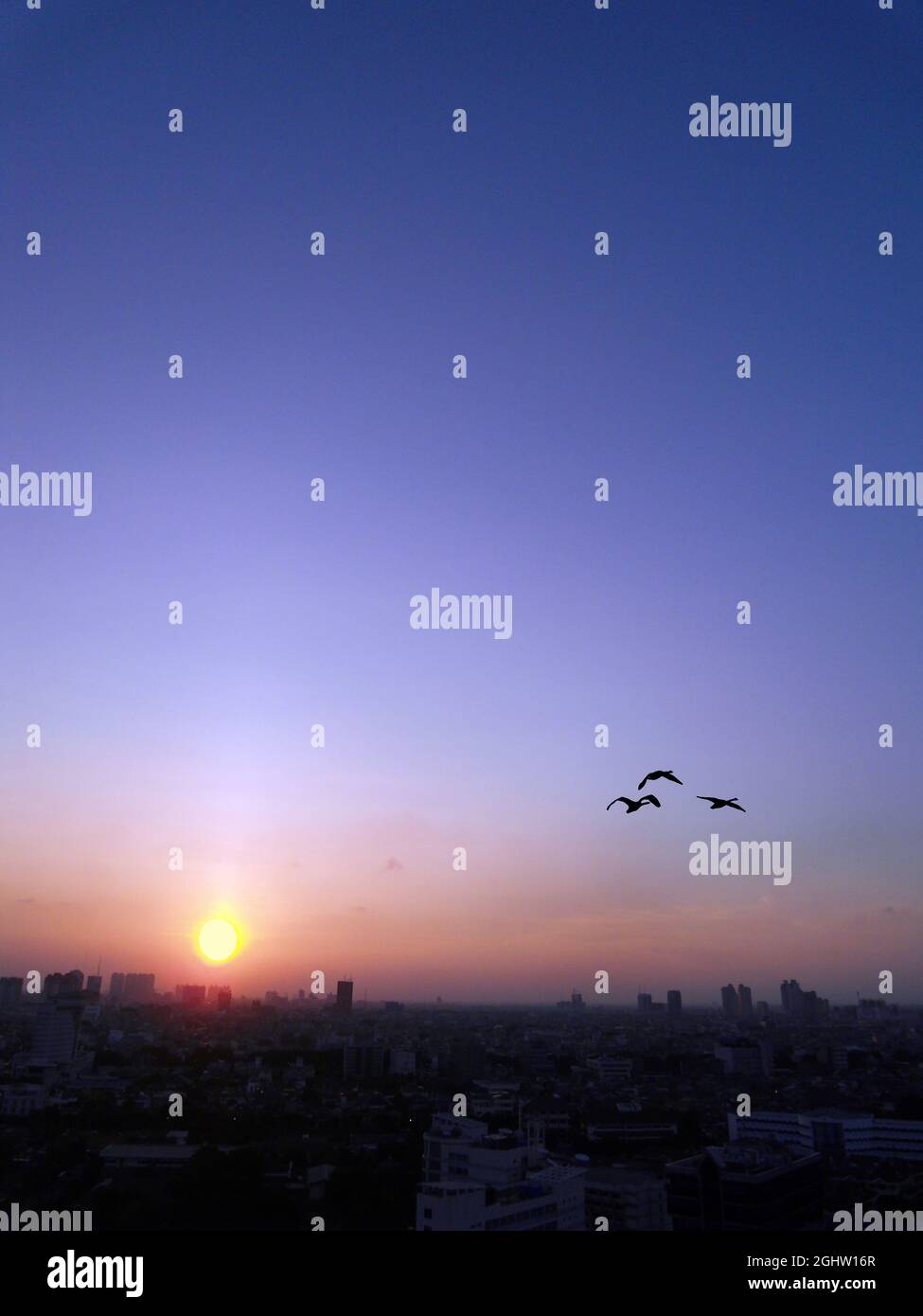 Vögel fliegen bei Sonnenuntergang über der Skyline der Stadt, Jakarta, Indonesien Stockfoto