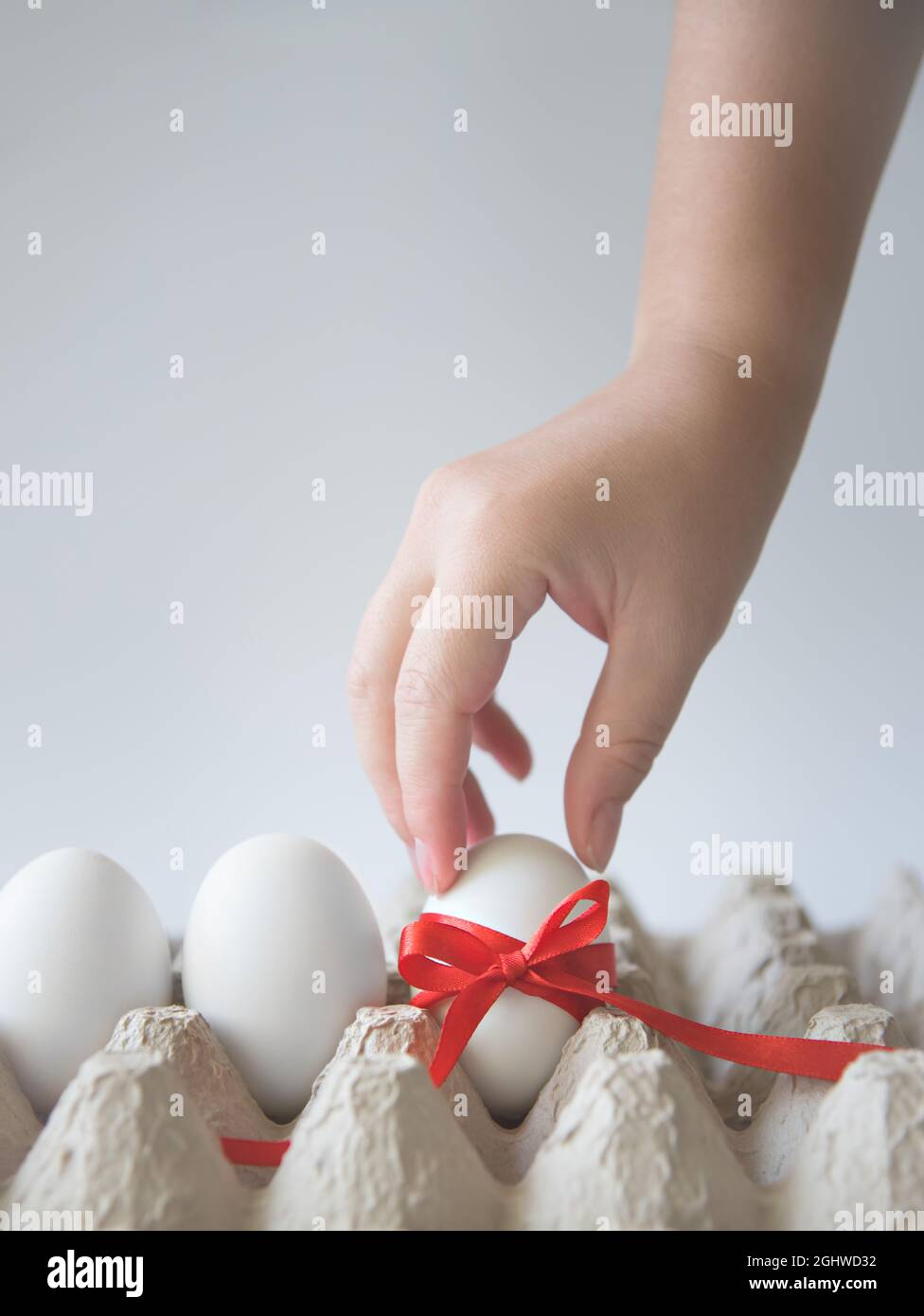 Die Hand der Frau nimmt ein weißes Ei mit rotem Geschenkband in einem Eierkarton auf weißem Hintergrund. Speicherplatz kopieren. Für Text platzieren. Vertikal. Stockfoto