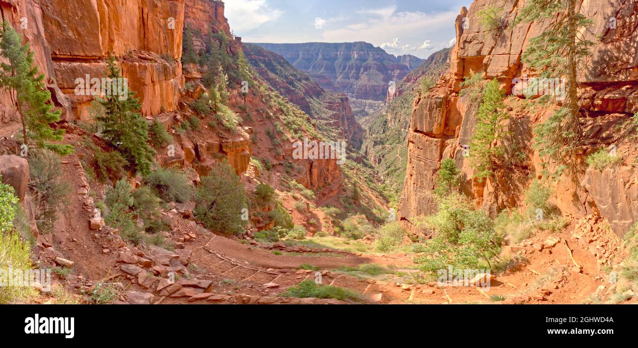 Blick auf den Bright Angel Canyon vom North Kaibab Trail, Kaibab National Forest, Grand Canyon, Arizona, USA Stockfoto