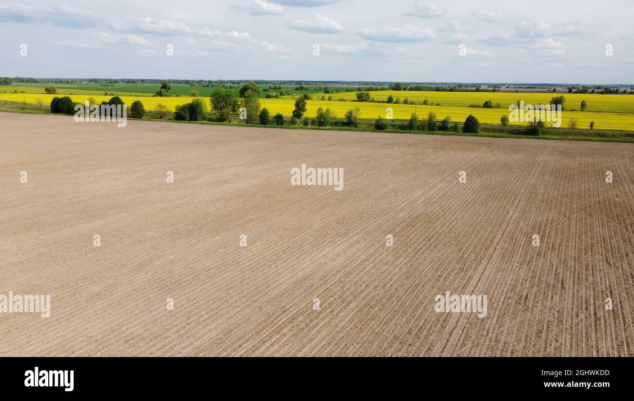 Eine gepflügte landwirtschaftliche Feld, Ernte von Raps in der Ferne. Luftaufnahme von Ackerland, Landschaft. Stockfoto