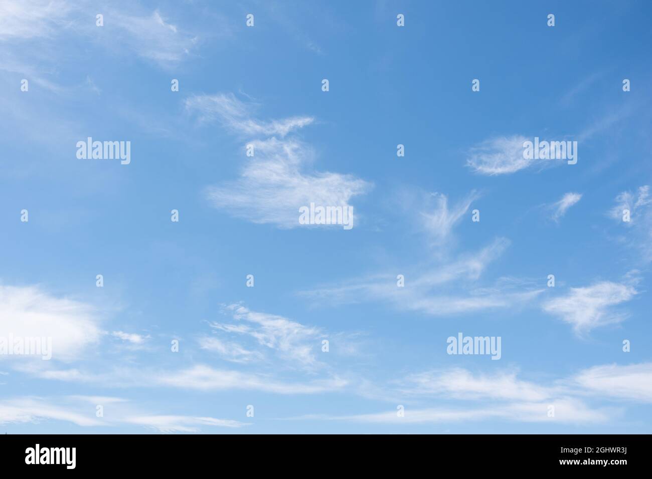 SEHR HELLE, FEDERLEICHTE WOLKEN IN EINEM STRAHLEND BLAUEN HIMMEL. Cirrus Wolken am blauen Himmel, schöner Cirrus uncinus am blauen Sommerhimmel Stockfoto