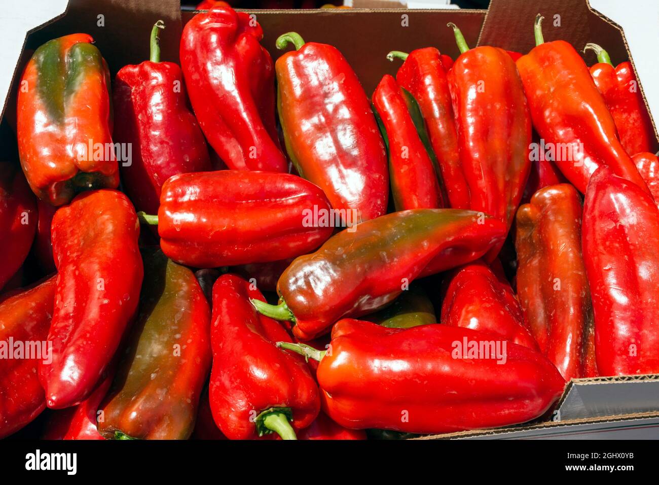 Am Ende des Sommers wird auf dem Markt eine Schachtel roter Hirtenpaprika gesehen. Stockfoto