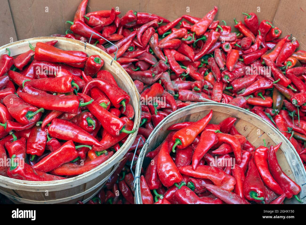 Eine Ernte von Körben mit frischen roten Chili-Paprika sind auf dem Markt gesehen. Stockfoto