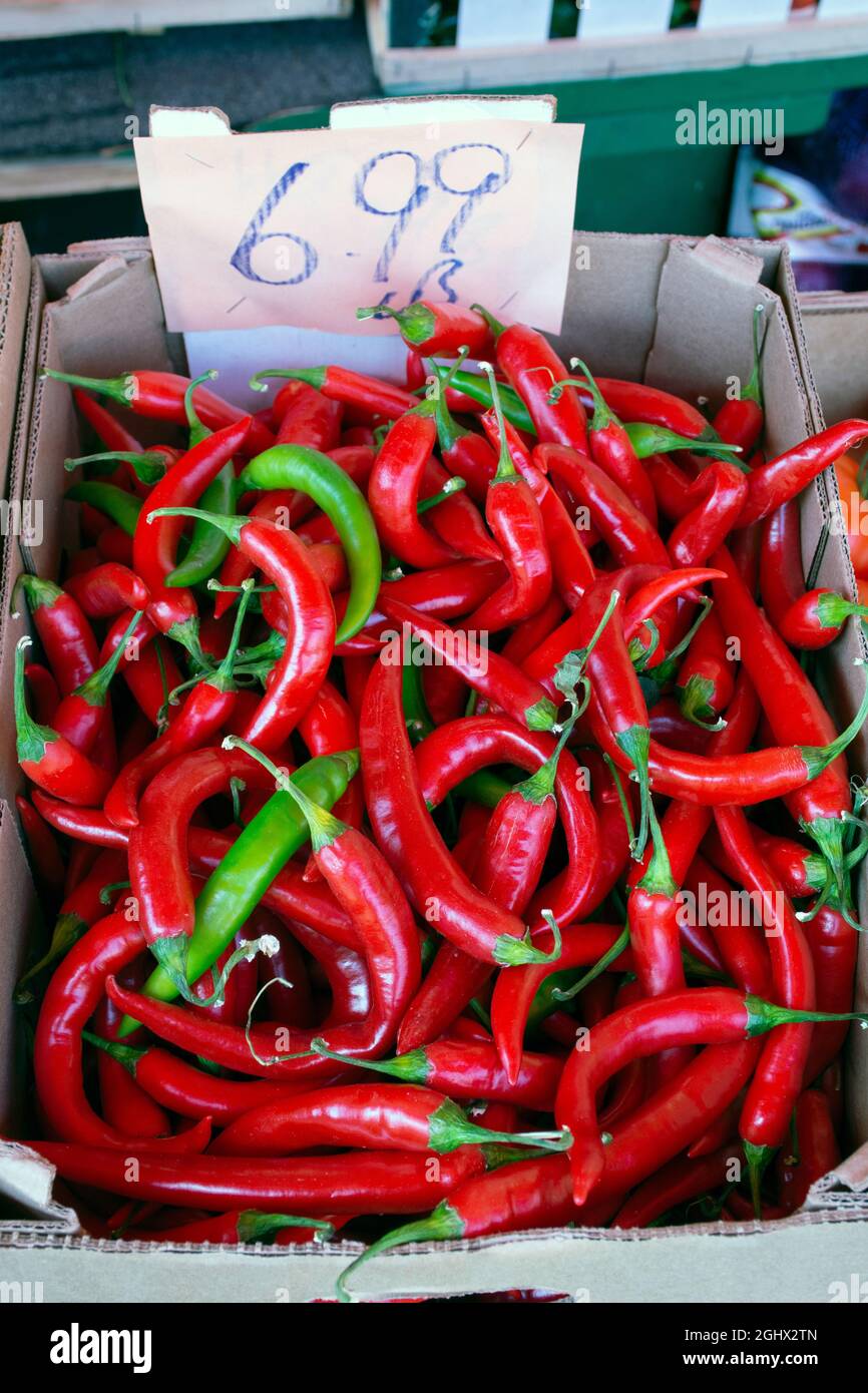 Cayennepfeffer, eine Art frischer roter Chili, die zur Herstellung von scharfer Sauce verwendet wird, sind auf dem Markt zu sehen. Stockfoto