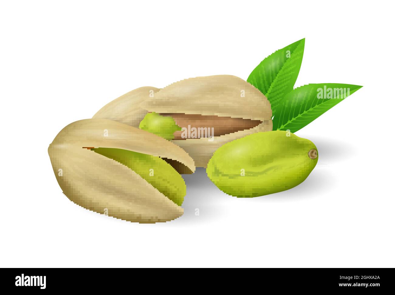 Pistazien-Nüsse mit grünen Blättern. Sammlung von Nüssen und Samen. Nahaufnahme der realistischen Vektorgrafik Stock Vektor
